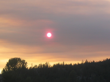 Dorothy Saunders Photo 8