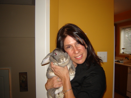 Suzanne Rodrigues Photo 2