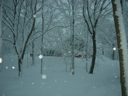 Jessica Powlas Photo 2