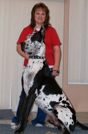 Donna Riddle Photo 10