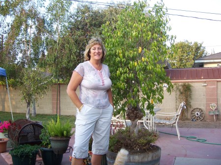 Cindy Kenton Photo 1