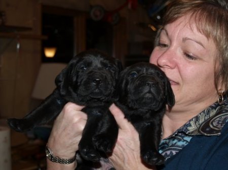 Terry Nixon Photo 6