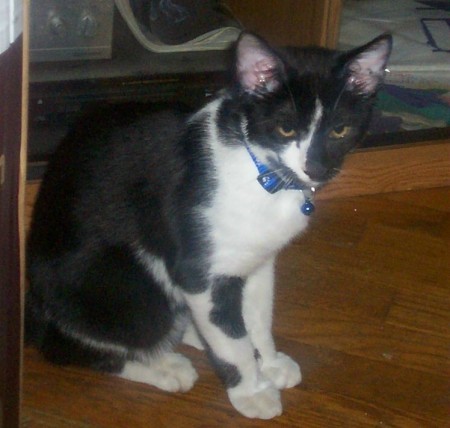 Patricia Pennington Photo 10