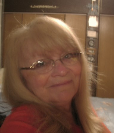 Judy Meyer Photo 3
