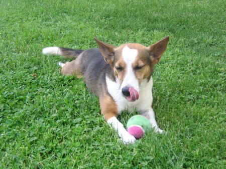 Angela Neal Photo 11