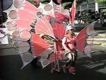 Cecelia Hall Photo 16