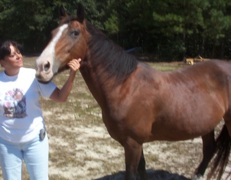 Debra Hollis Photo 2
