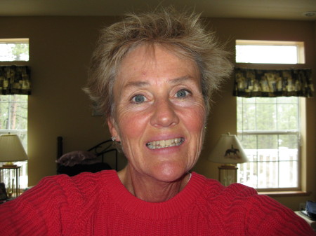 Wendy Lindsay Photo 3
