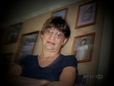 Terri Daigle Photo 3