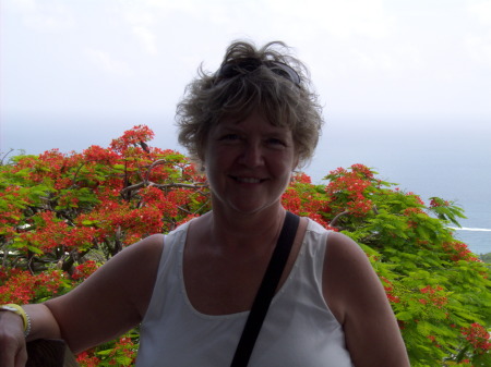 Sheri Mayo Photo 15