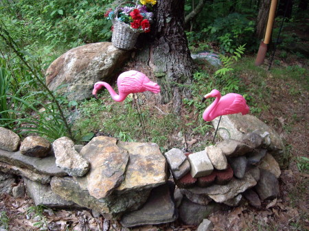 Kimberly Reimer Photo 2
