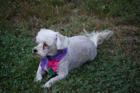 Arlene Sloan Photo 3