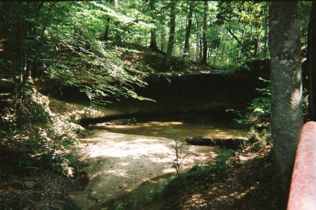 Lee Ward Photo 8