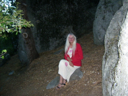 Nancy Seitz Photo 19