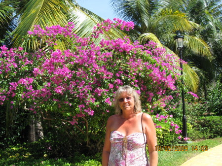 Lisa Crafton Photo 8