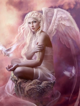 Jeannette Wester Photo 3