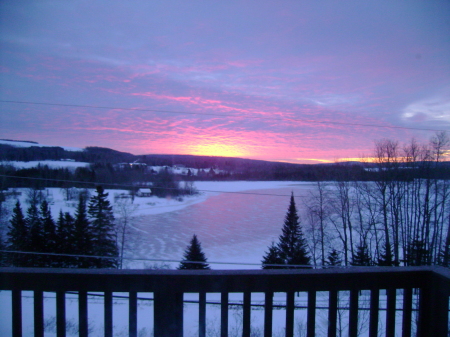 Susan Trimble Photo 8