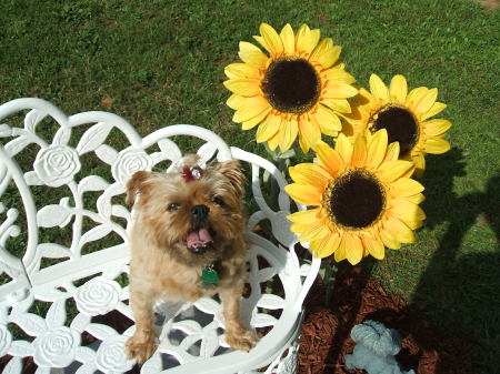 Donna Stamper Photo 8