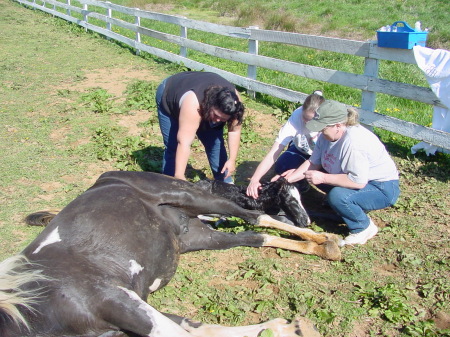 Patricia Shumate Photo 3