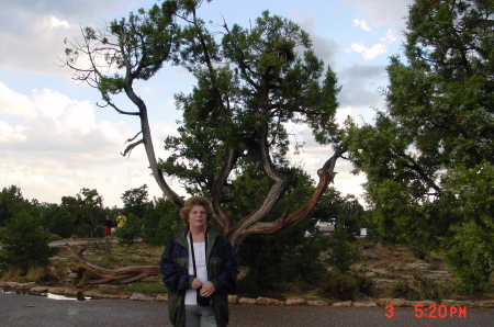 Debra York Photo 8