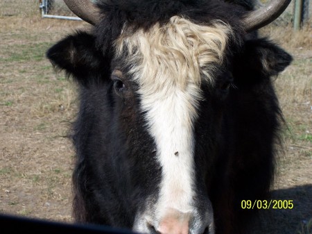 Sally Duggan Photo 13