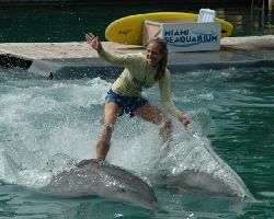 Stacy Sauter Photo 2