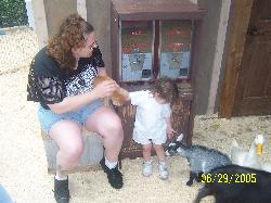 Angela Elwell Photo 3