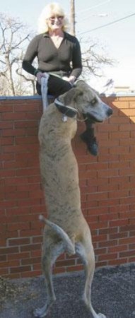 Debra Rigdon Photo 5