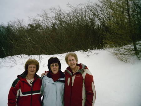 Brenda Stringer Photo 6